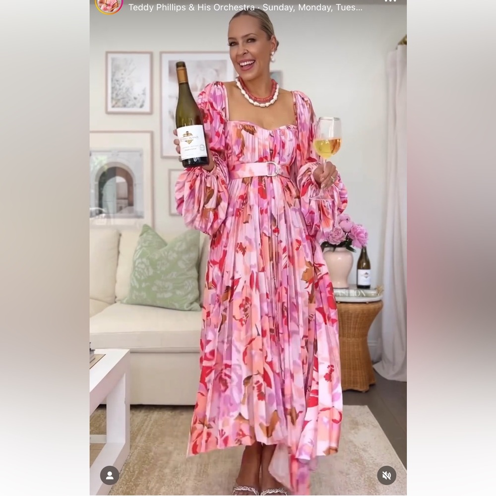 NWT Aclair lothair dress